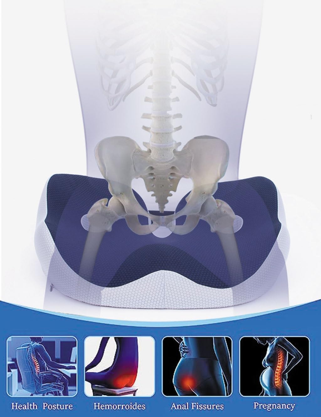 Skeletal diagram illustrating posture improvement and relief for hemorrhoids and pregnancy discomfort